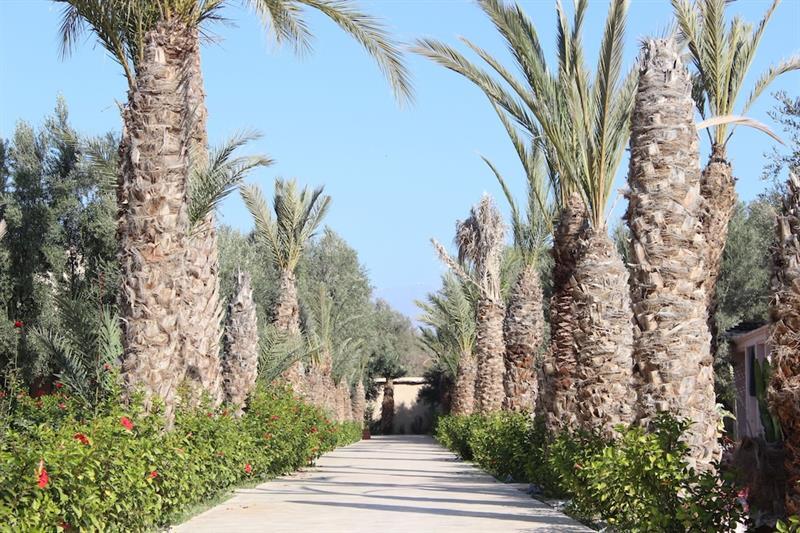 Riad Le Jasmin Taroudant Ngoại thất bức ảnh